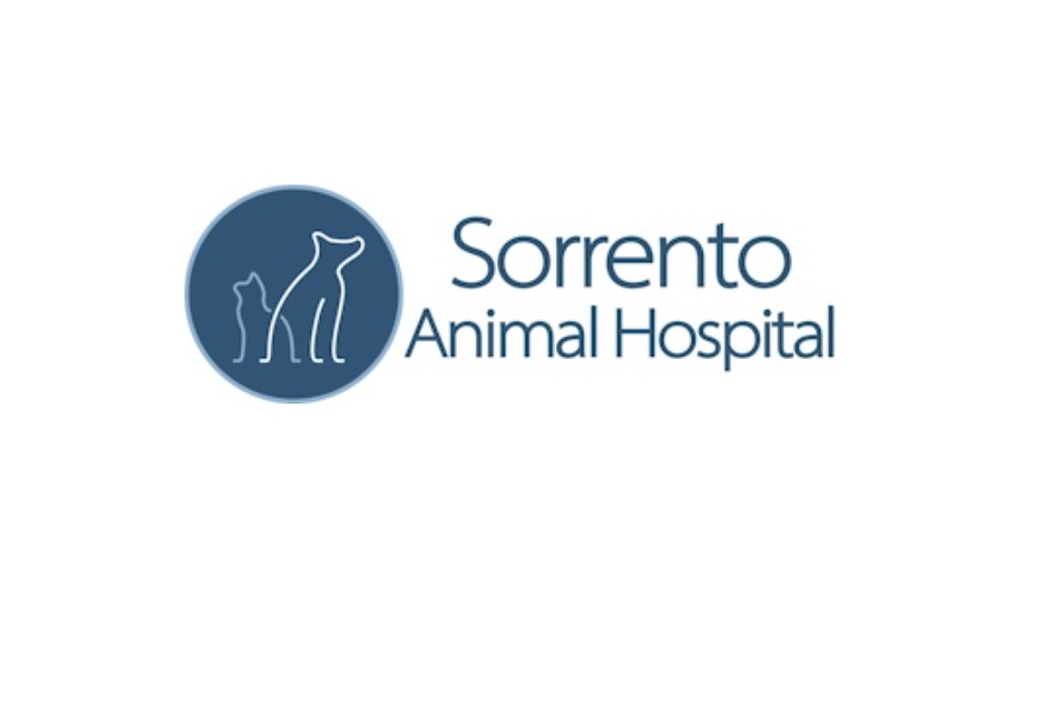 Sorrento Animal Hospital photo