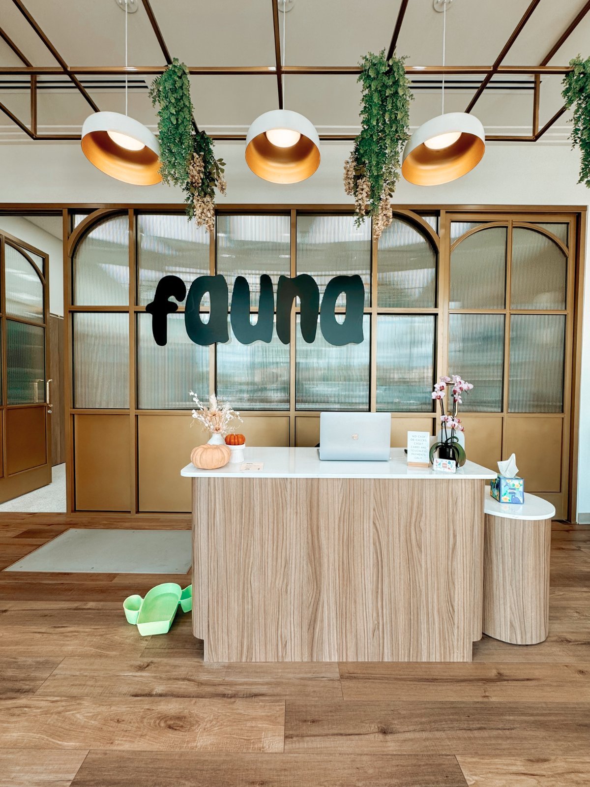 Fauna Veterinary Collective photo