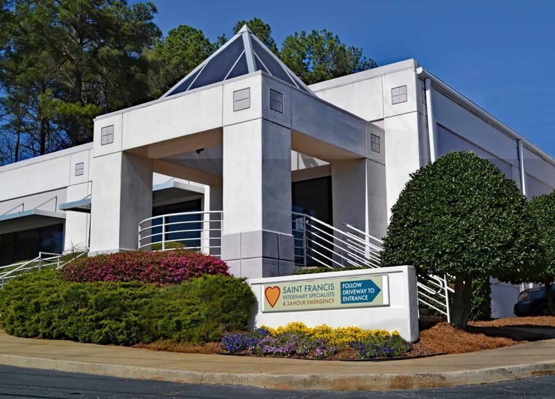 Saint Francis Veterinary Specialists photo