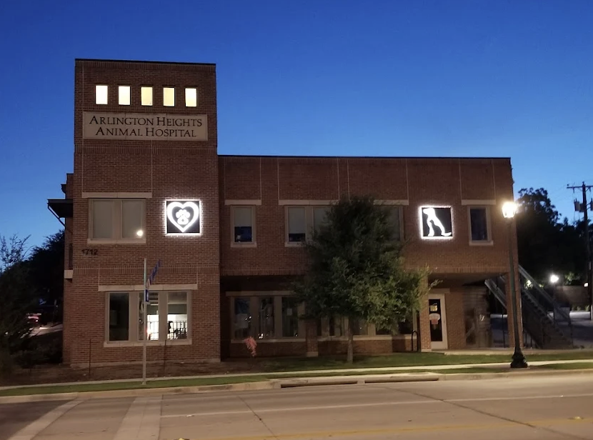 Arlington Heights Animal Hospital photo