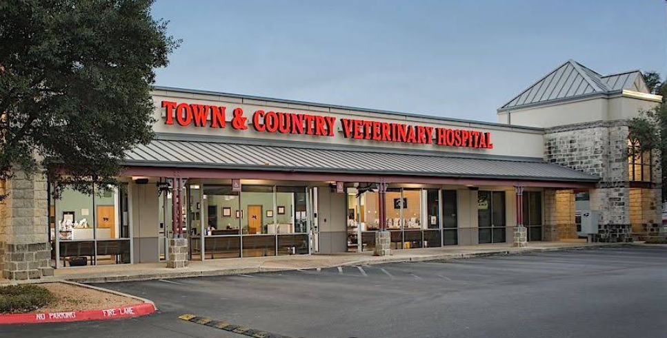 Town and Country Veterinary photo