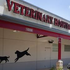Town and Country Veterinary photo