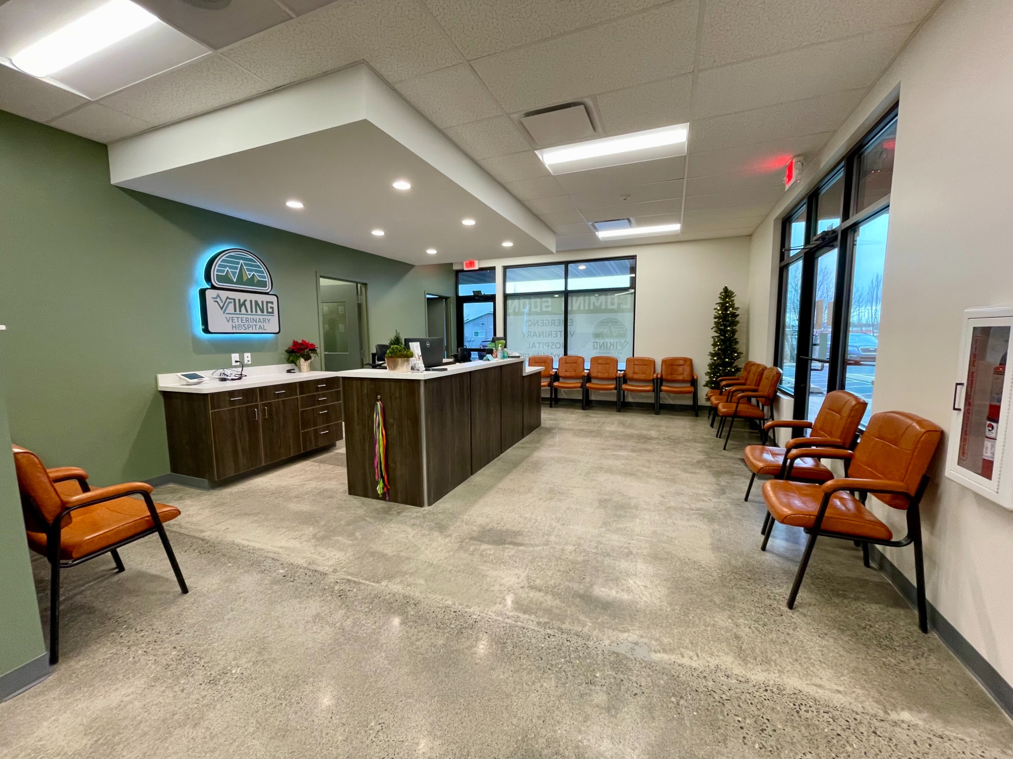 Viking Veterinary Hospital, Moscow photo