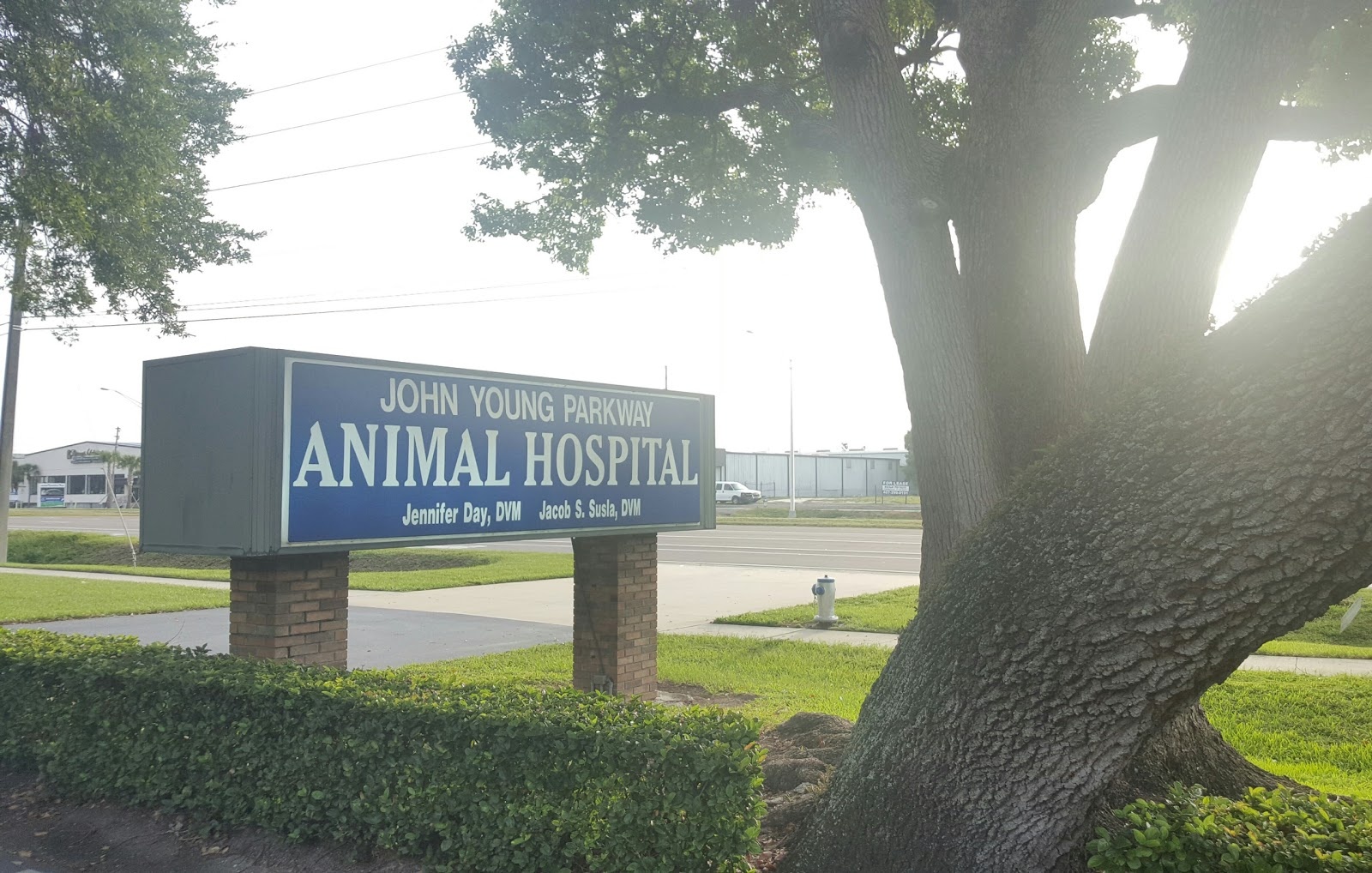 John Young Parkway Animal Hospital photo