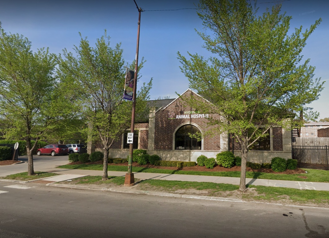 Hyde Park Animal Hospital  photo