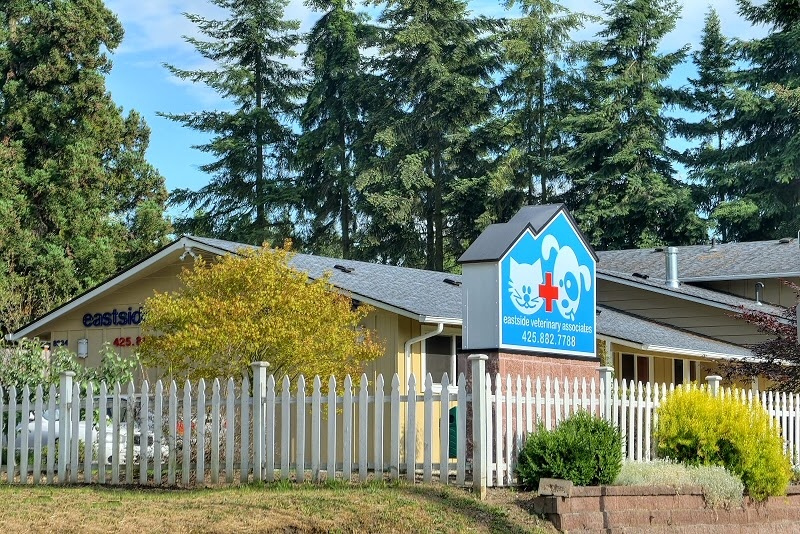 Kirkland - Eastside Veterinary Associates photo
