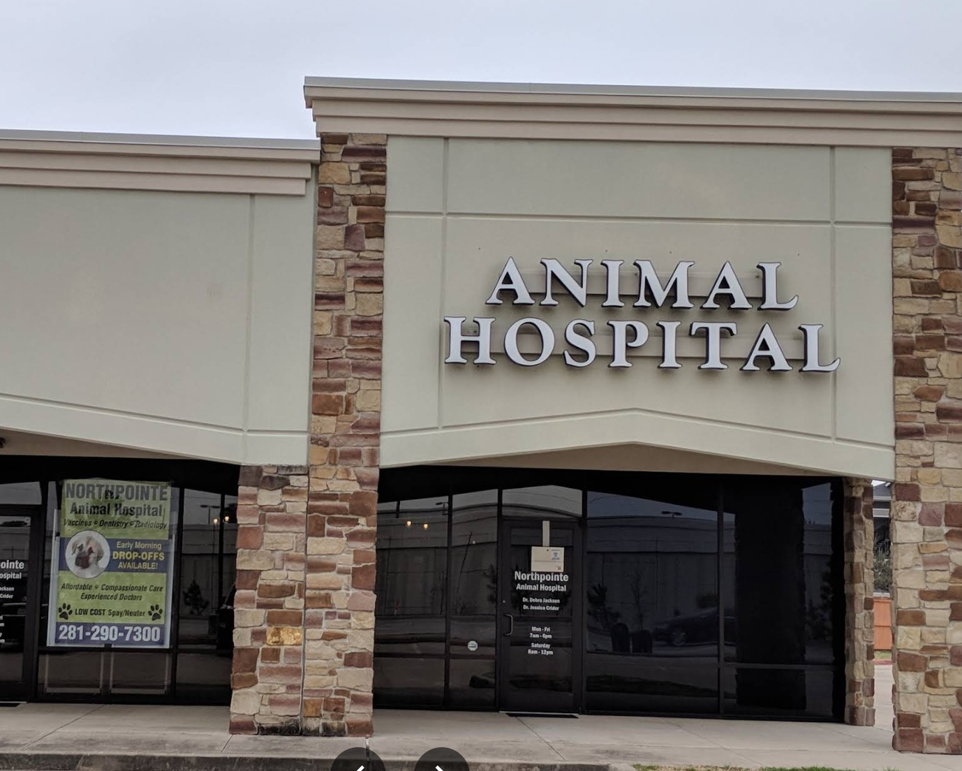 Northpointe Animal Hospital photo