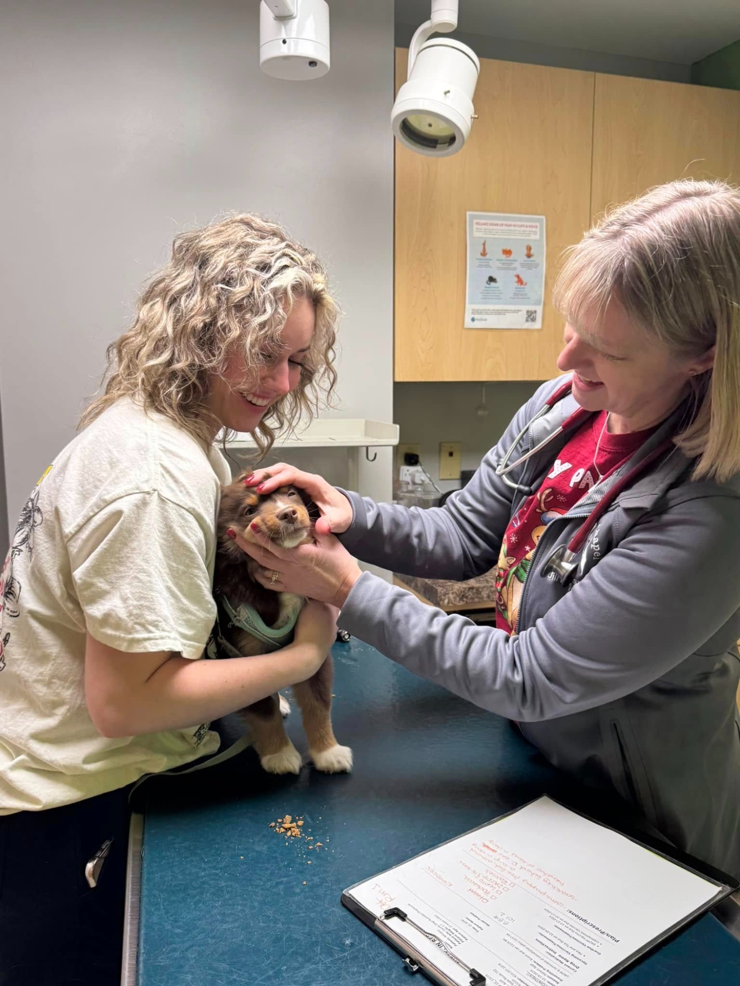 Concord Chapel Animal Hospital photo