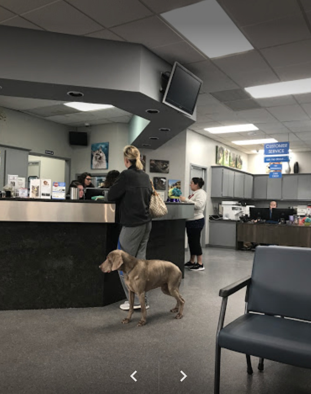 Red Plains Veterinary Emergency + Referral photo