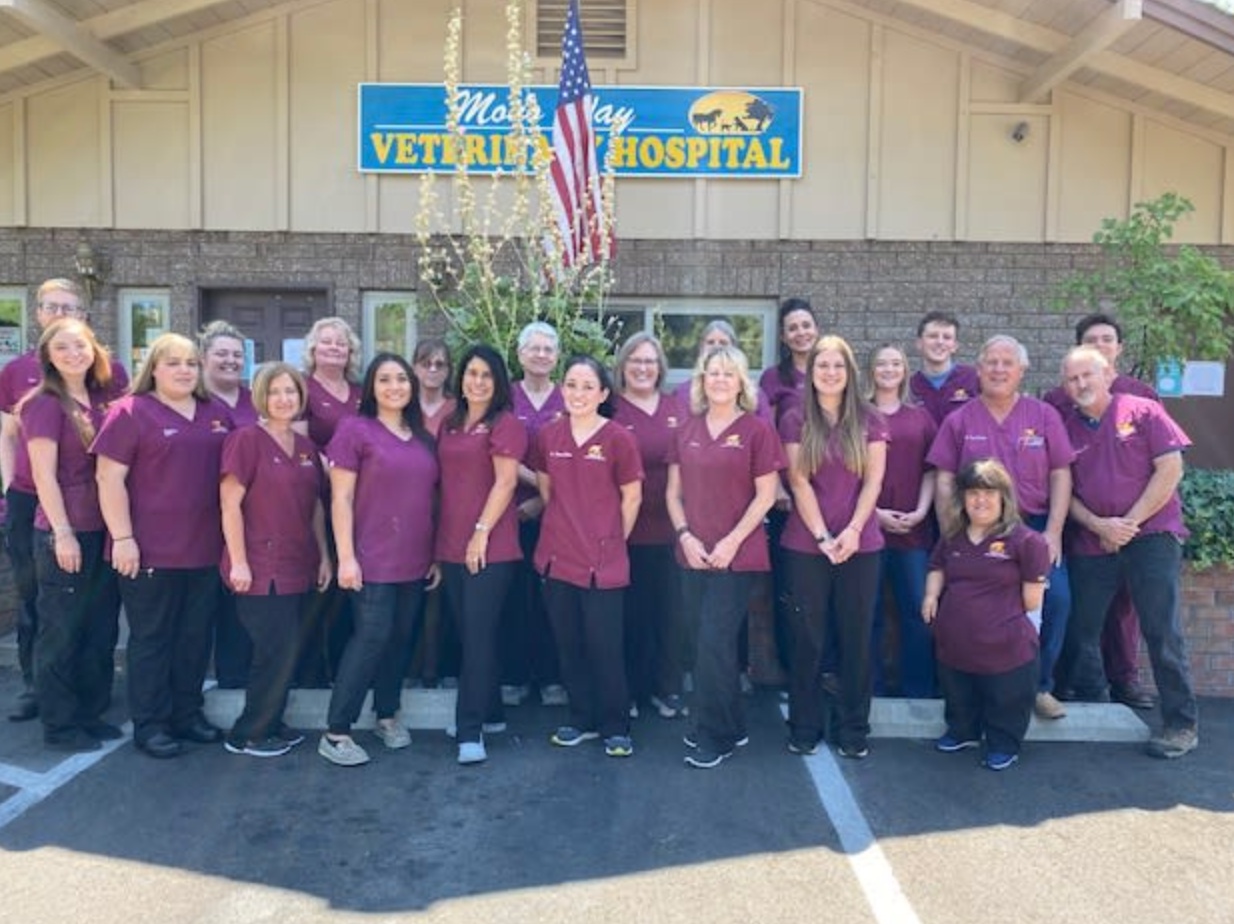 Mono Way Veterinary Hospital  photo