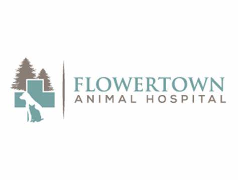 Flowertown Animal Hospital photo