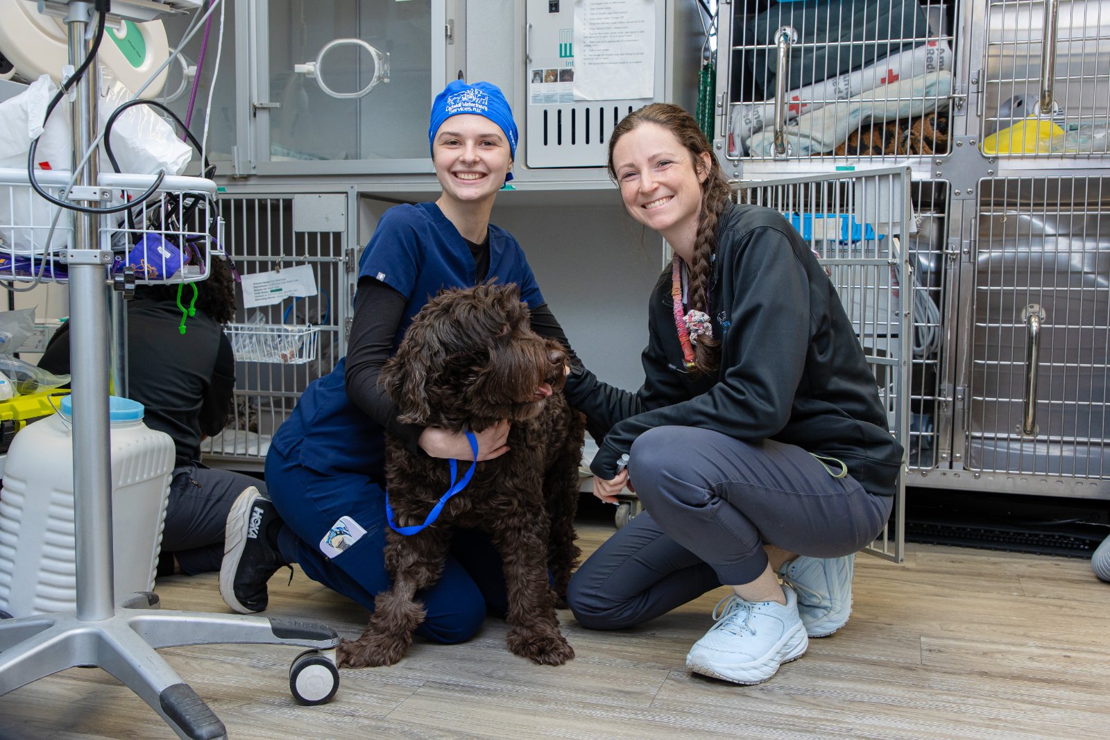 Catskill Veterinary Services (Rock Hill) photo