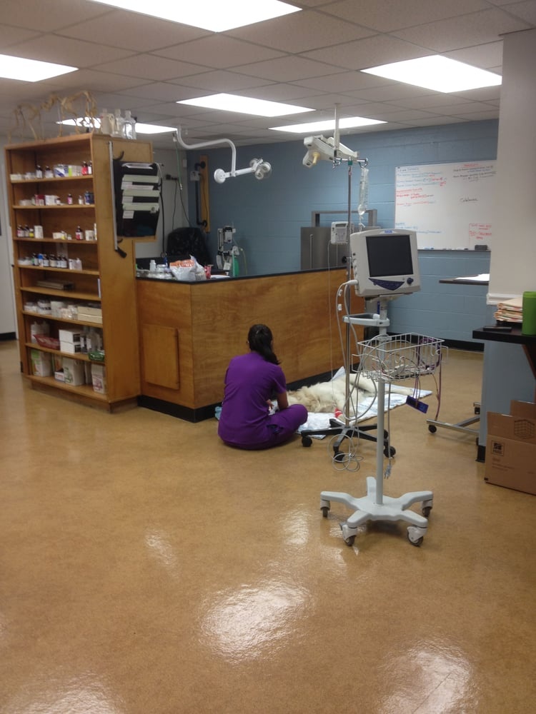 Pineville Animal Clinic photo