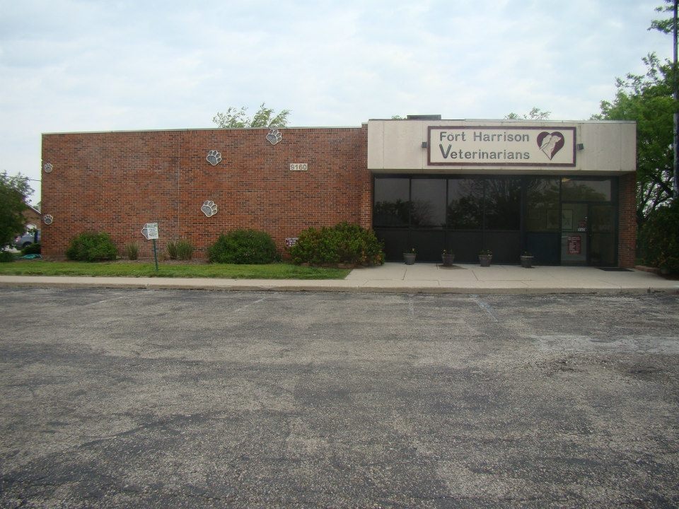 Lawrence photo