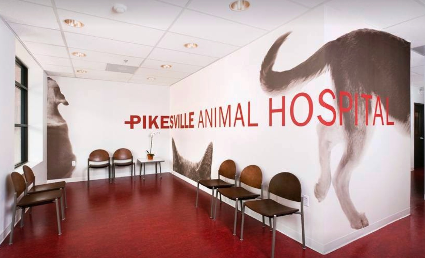 Pikesville Animal Hospital photo