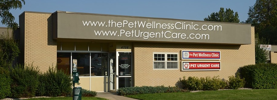 Four Paws Pet Hotel & Resort photo