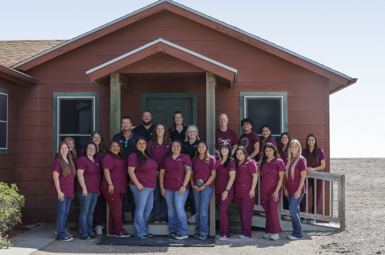 Cross Point Veterinary Clinic photo