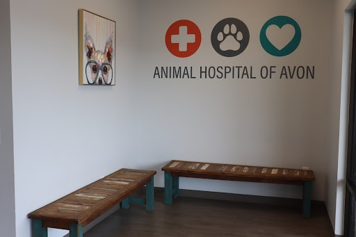 Animal Hospital of Avon photo