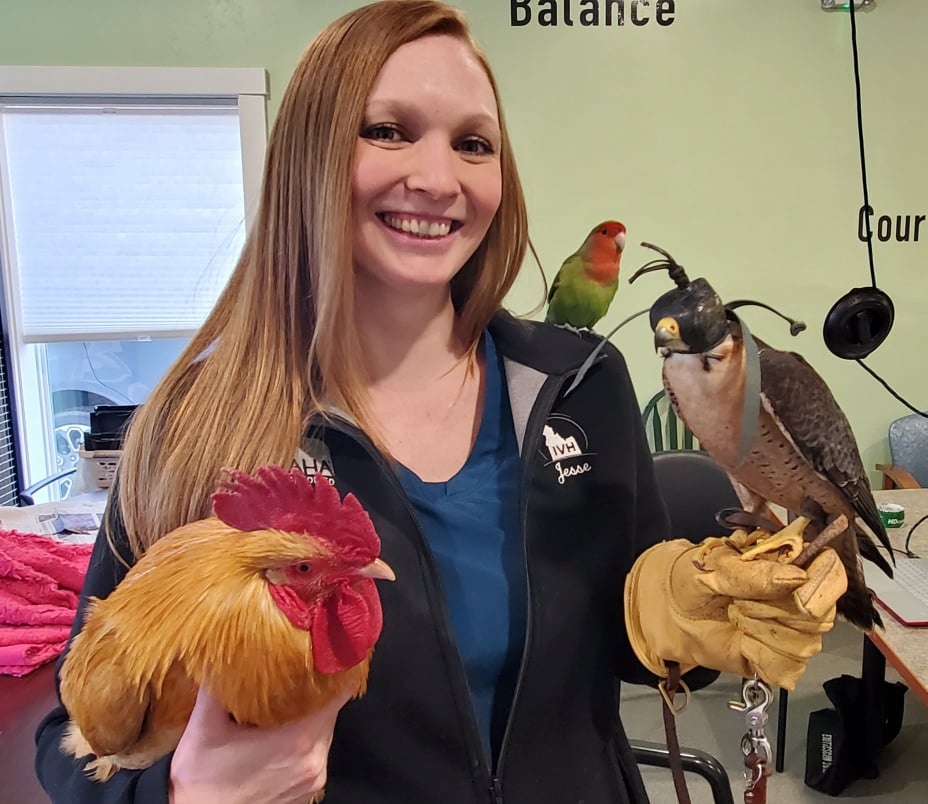 Idaho Veterinary Hospital photo