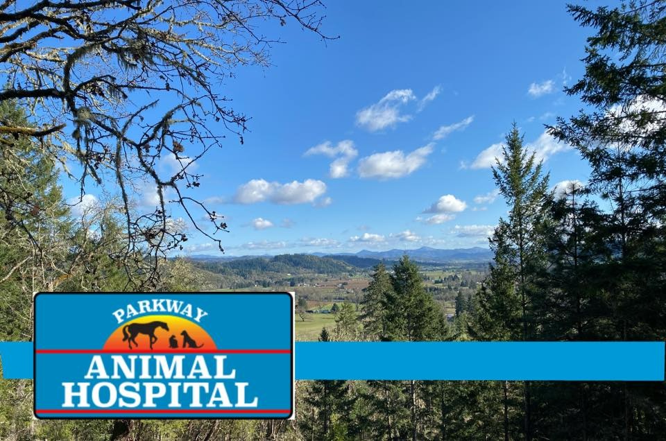 Parkway Animal Hospital photo