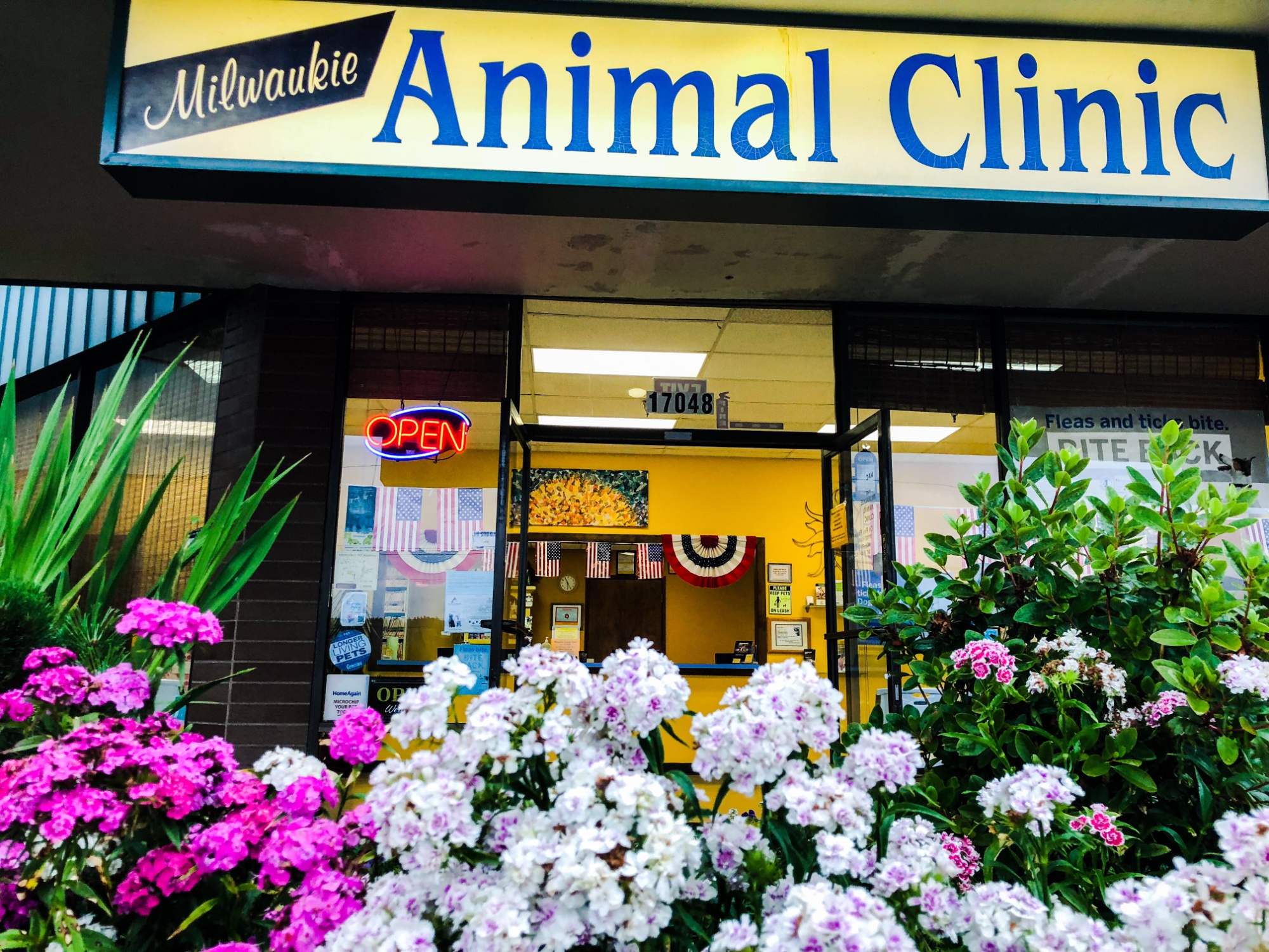 Milwaukie Animal Clinic photo