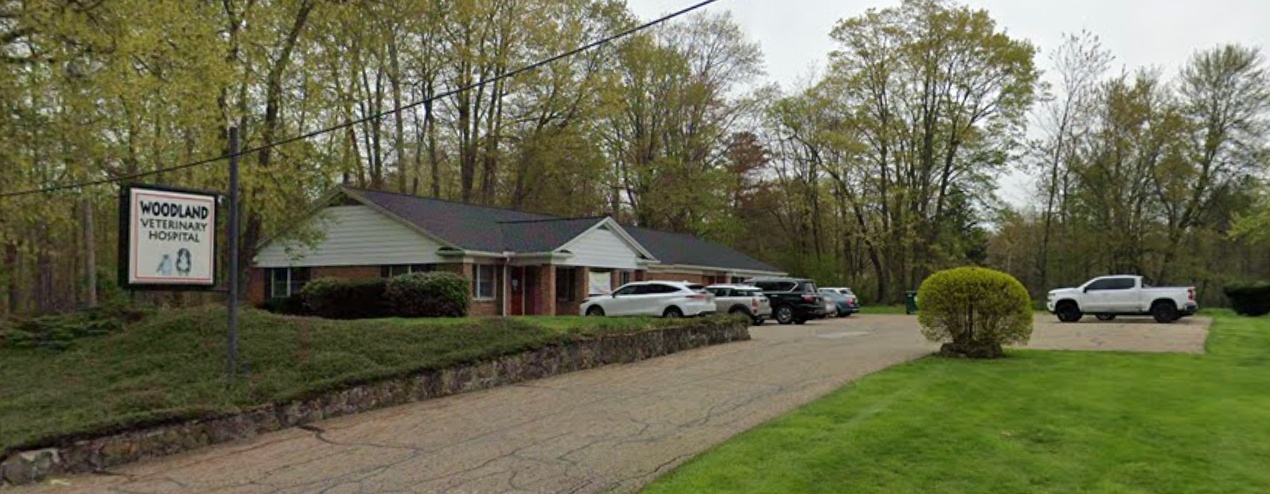 Woodland Veterinary Hospital photo