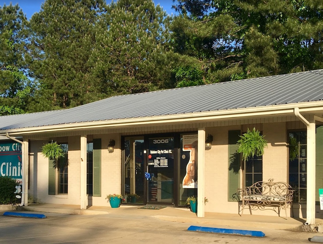 Rainbow City Pet Clinic photo