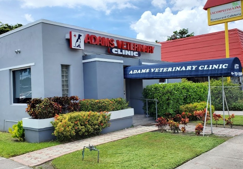Adams Veterinary Clinic photo