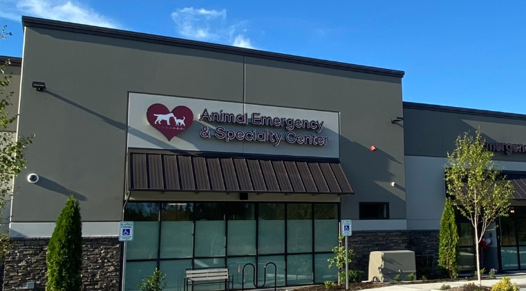 Animal Emergency and Trauma Center photo