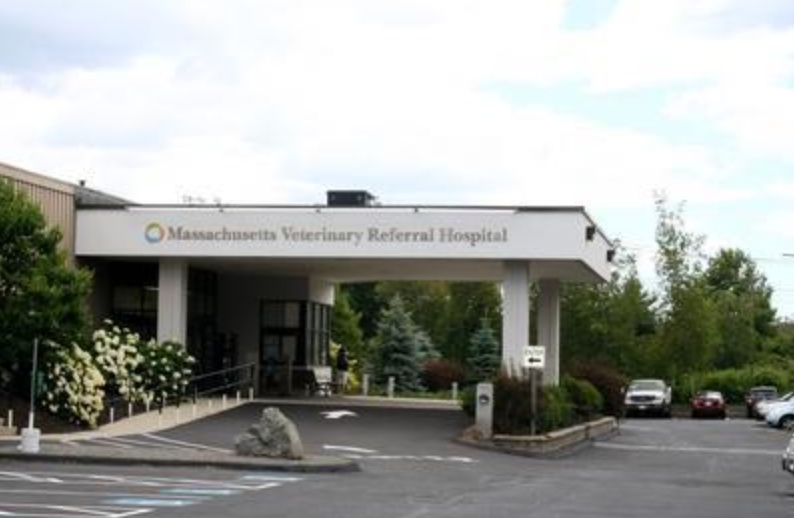 Massachusetts Veterinary Referral Hospital  (MVRH) photo