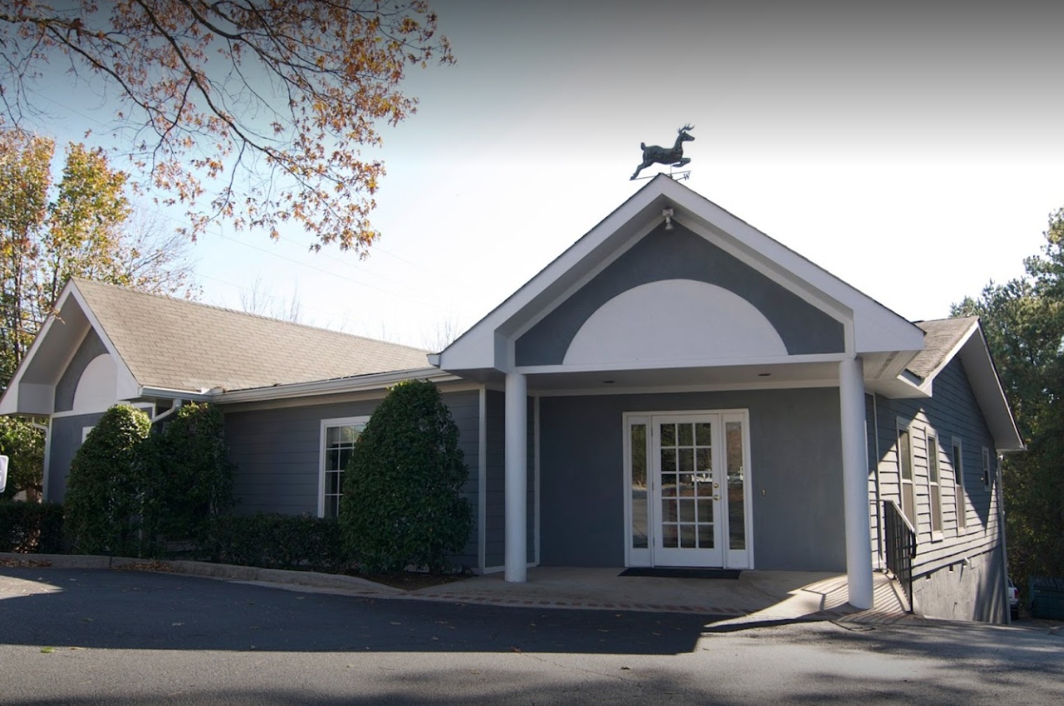 Holcomb Bridge Animal Hospital photo