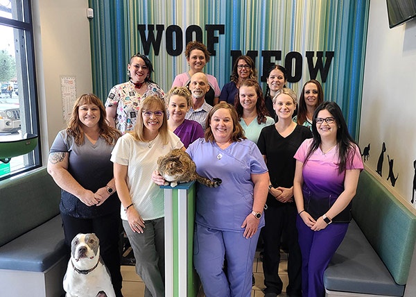 Stetson Hills Animal Hospital photo