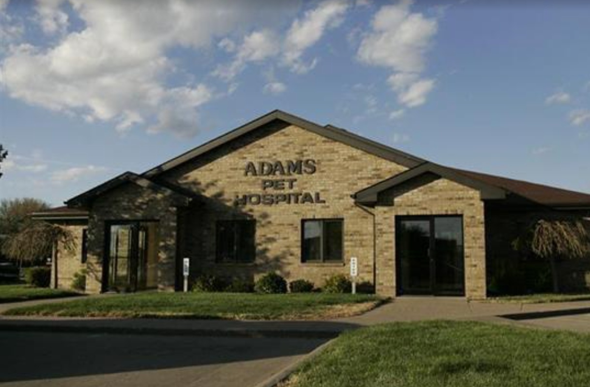 Adams Pet Hospital photo