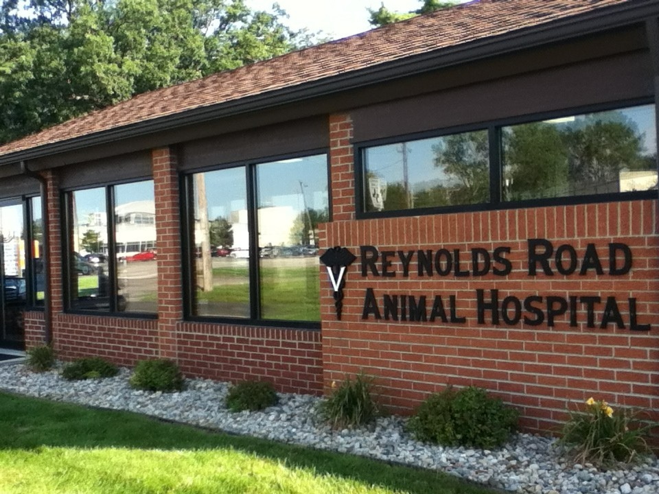 Reynolds Road Animal Hospital photo