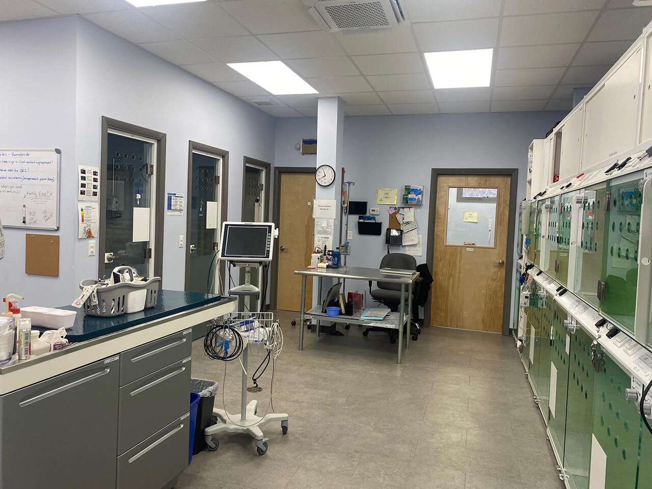 Integrity Veterinary Center photo