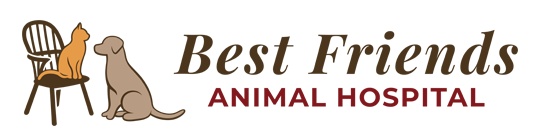 Best Friends Animal Hospital photo