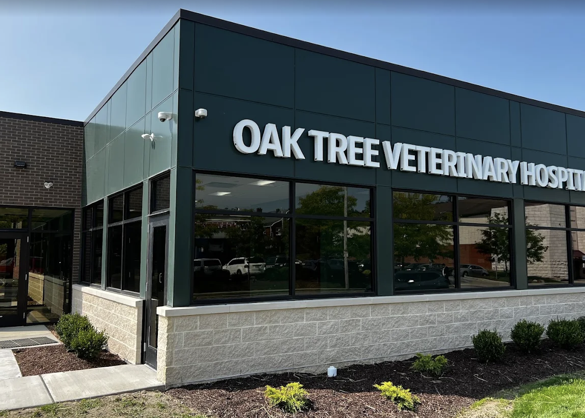 Oak Tree Veterinary Hospital photo