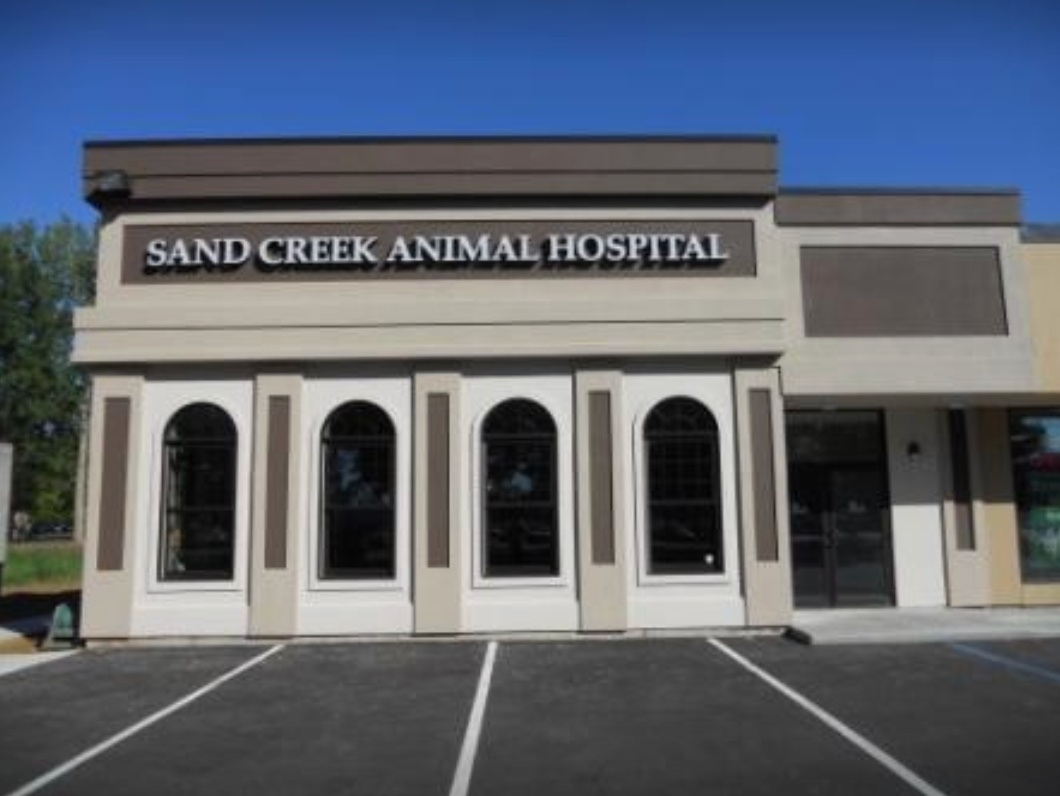 Sand Creek Animal Hospital photo
