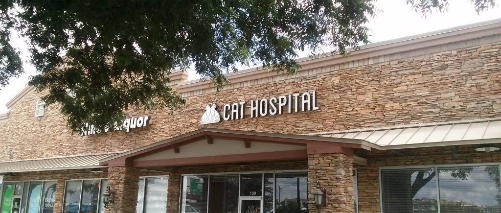 South Austin Cat Hospital photo