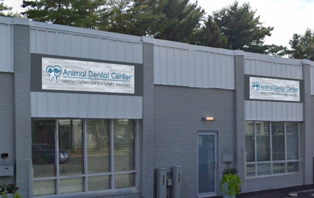 The Animal Dental Center  photo