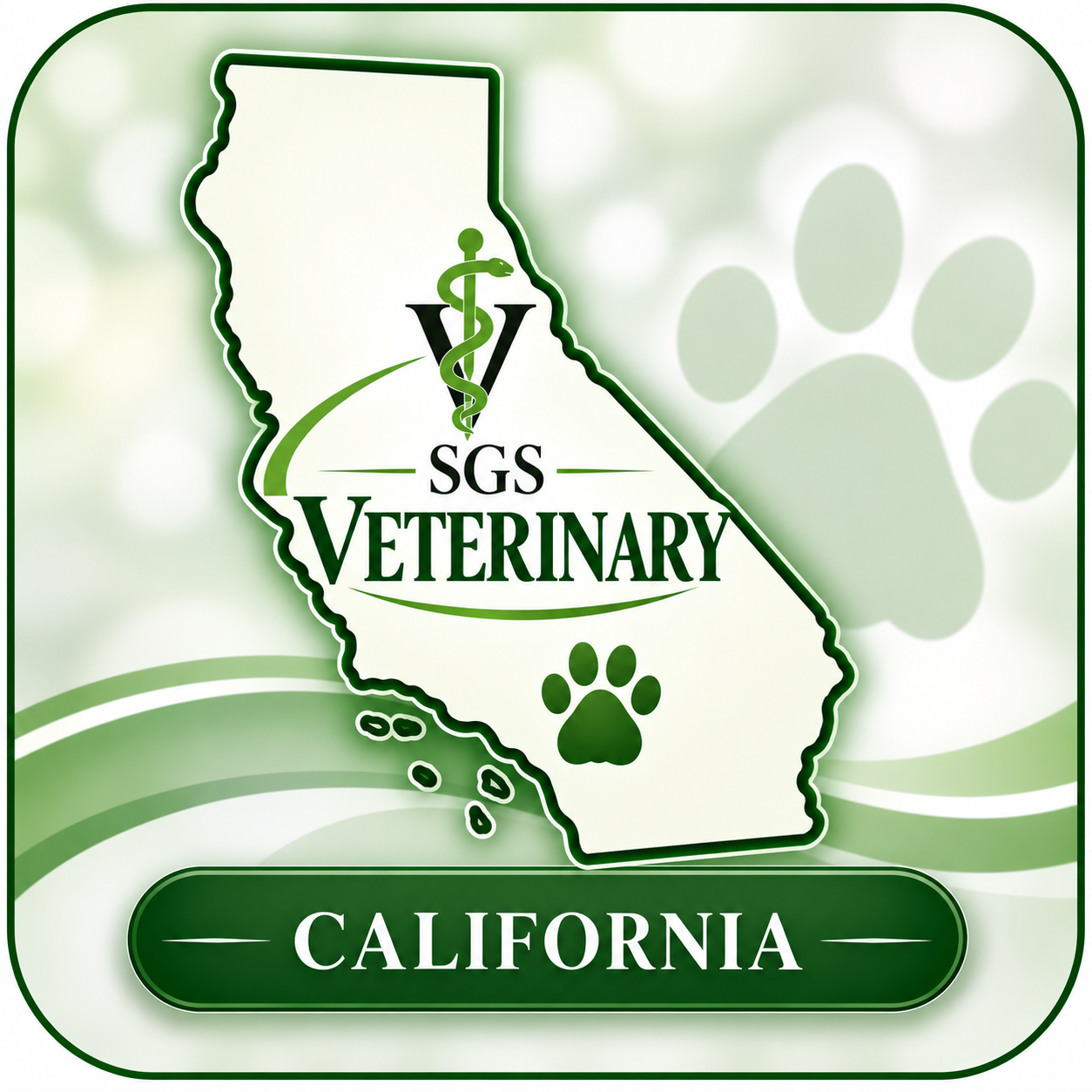 Search Group Solutions Veterinary - California photo