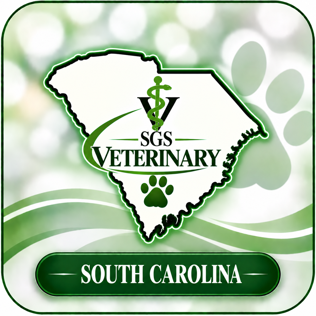 Search Group Solutions Veterinary - South Carolina photo