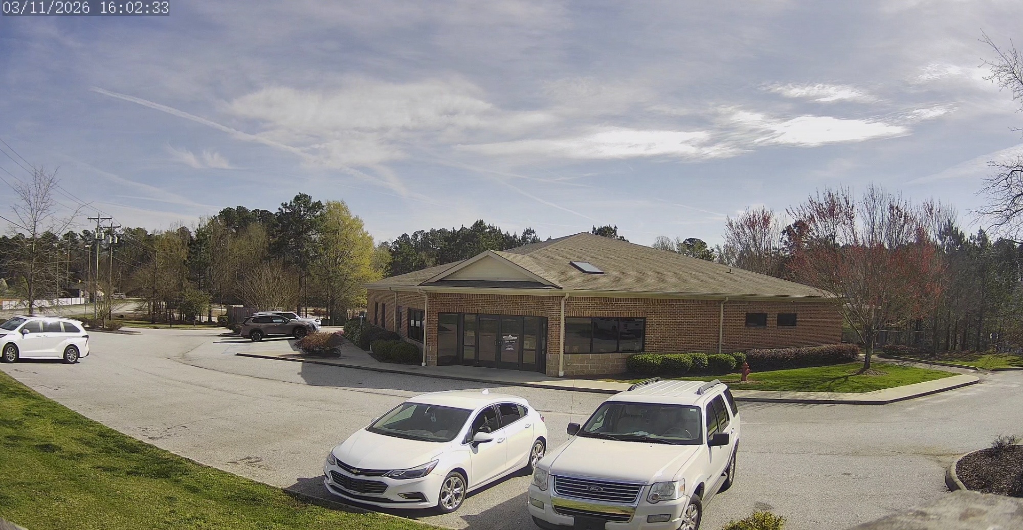 Emerald City Animal Hospital photo