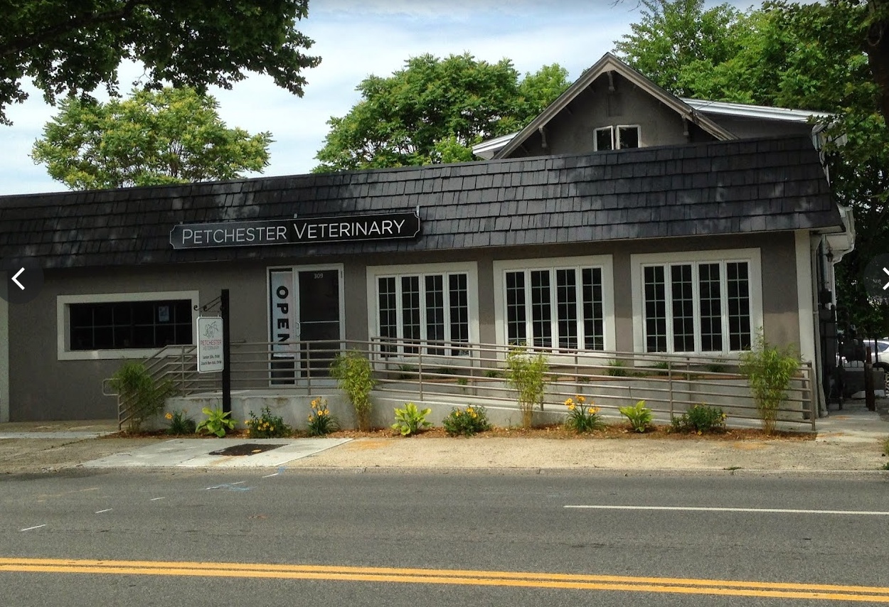 Petchester Veterinary photo