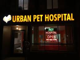 Urban Pet Hospital photo