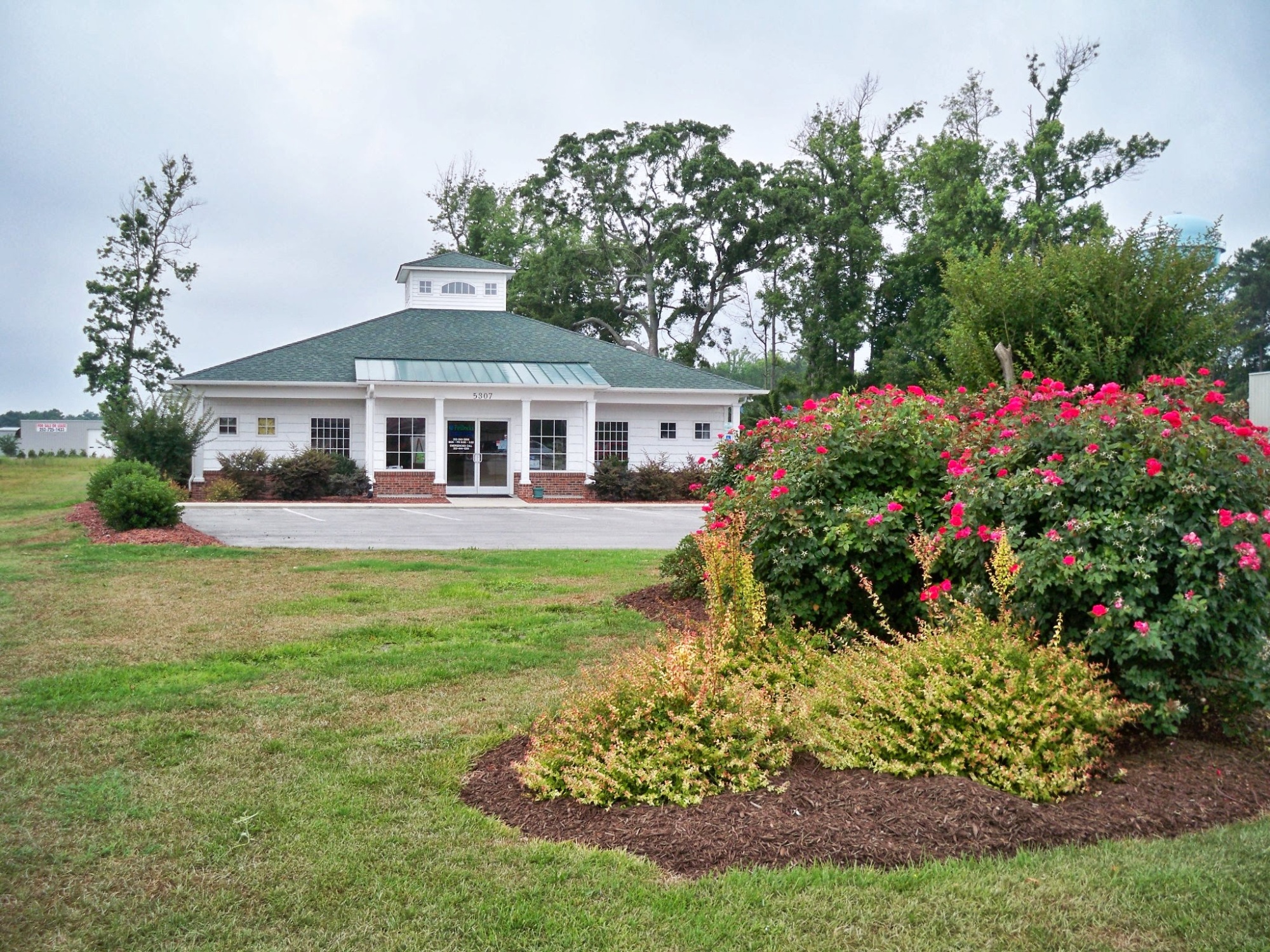 PetDocks Veterinary Hospital photo