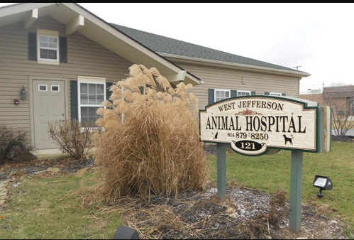 West Jefferson Animal Hospital photo