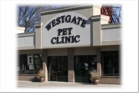 WestGate Pet Clinic photo