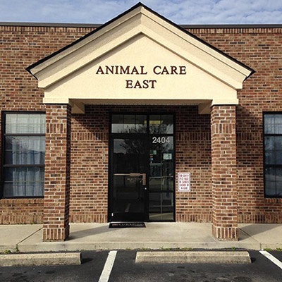 Winterville Animal Care photo