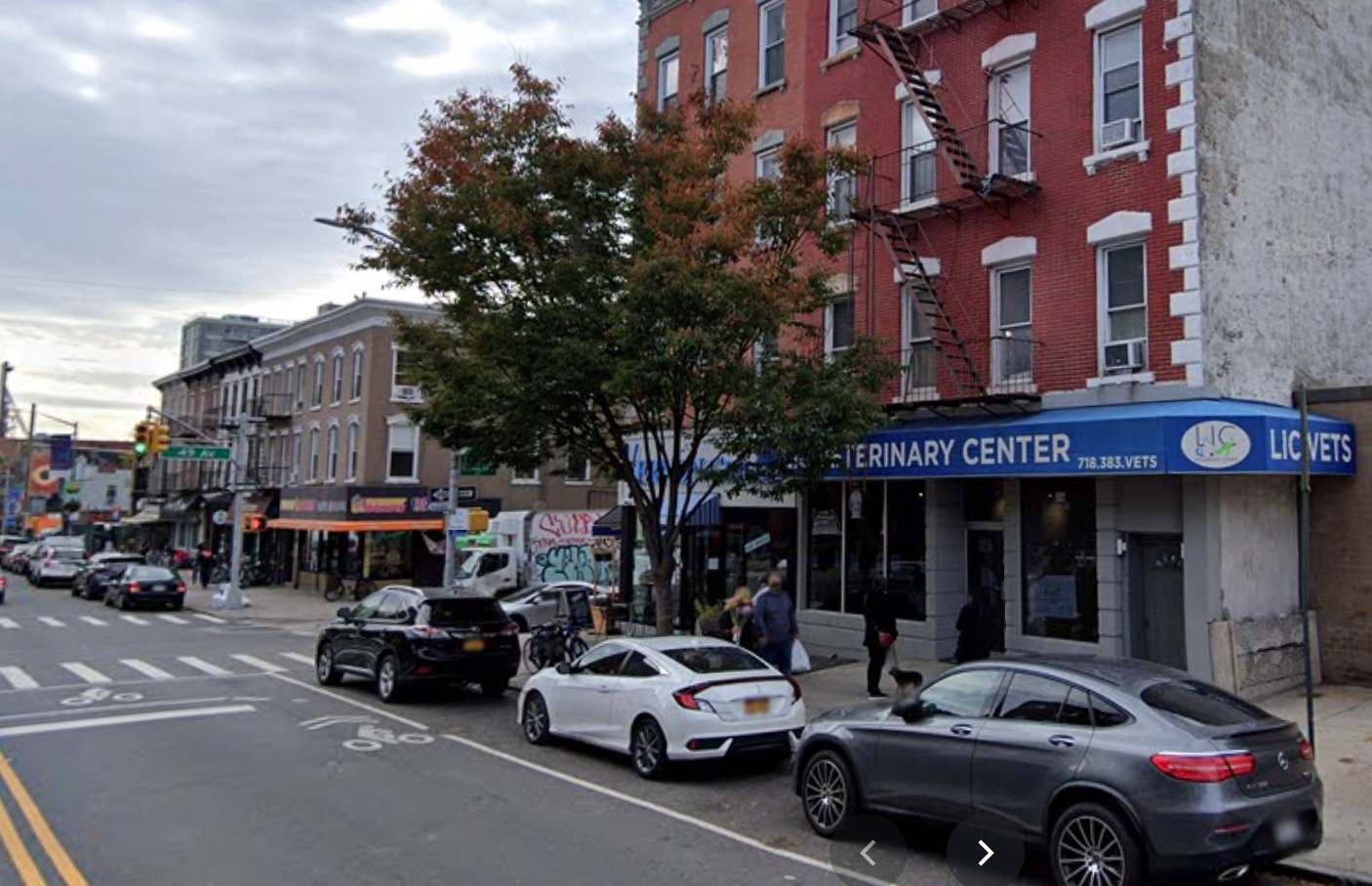 Long Island City Veterinary Center photo